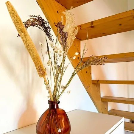 Duplex Lumineux Apartment Angers