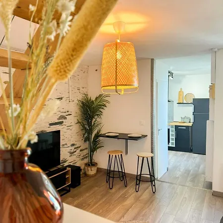 Apartment Duplex Lumineux