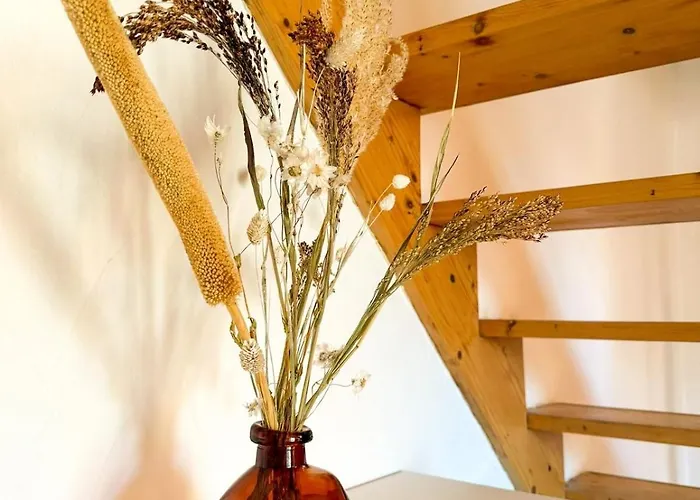 Duplex Lumineux Daire Angers