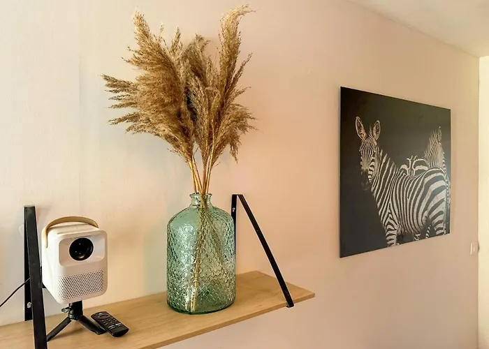 Duplex Lumineux * Angers